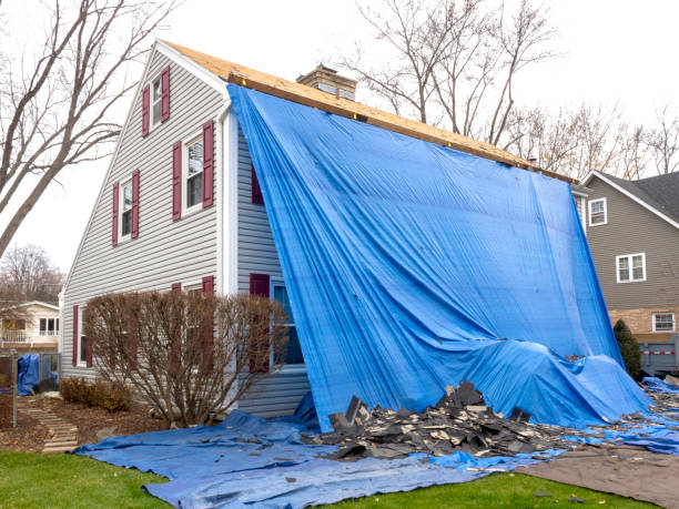 Best Construction Debris Removal  in Hayden, CO